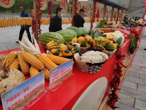 吳忠市曹泥洼村豐收節 休閑農業精品線路推介與農民歡慶共繪鄉村振興新畫卷